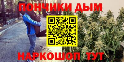 прущие крисы Донецк