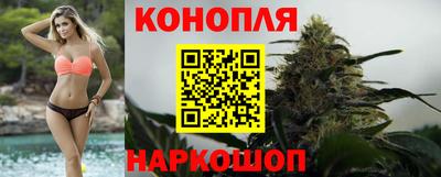 прущие крисы Донецк