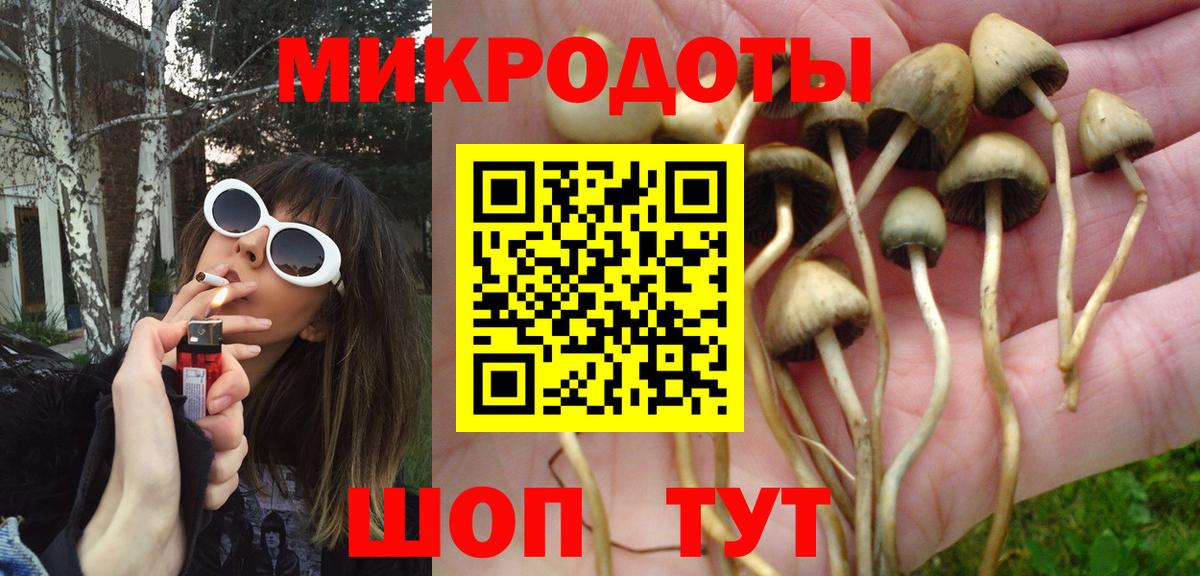 Галлюциногенные грибы Psilocybe  Вход с VPN  Галлюциногенные грибы мицелий  Кулебаки 