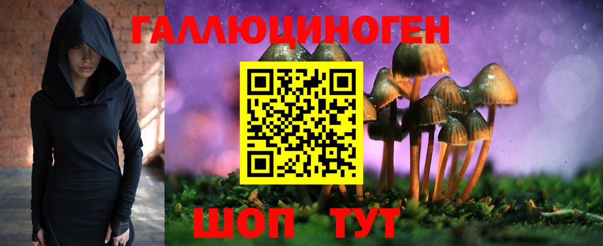 Галлюциногенные грибы мицелий Кулебаки